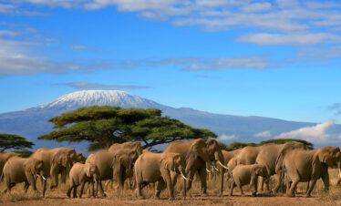 5-DAY SAFARI ITINERARY: AMBOSELI NATIONAL PARK & TSAVO EAST NATIONAL PARK