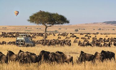 4-DAYS FLY-IN LUXURIOUS MASAI MARA SAFARI