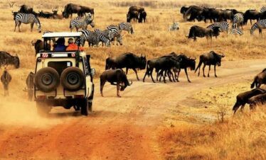 5 NIGHTS/6DAYS KENYAN SAFARI