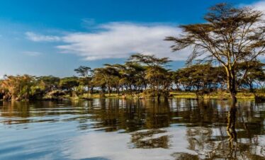 NAIROBI-LAKE NAIVASHA-NAKURU- SAMBURU OL PEJETA SAFARI