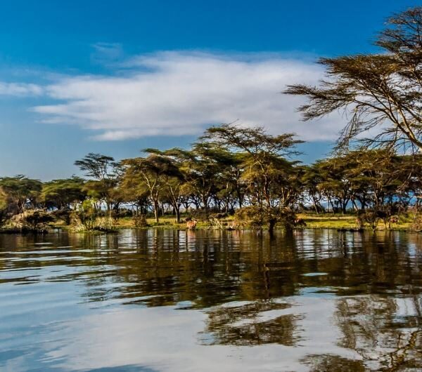 lake-naivasha-getty