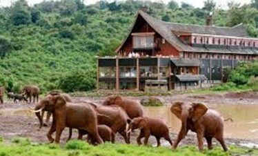 2-Day Private Classic Safari to Aberdare National Park