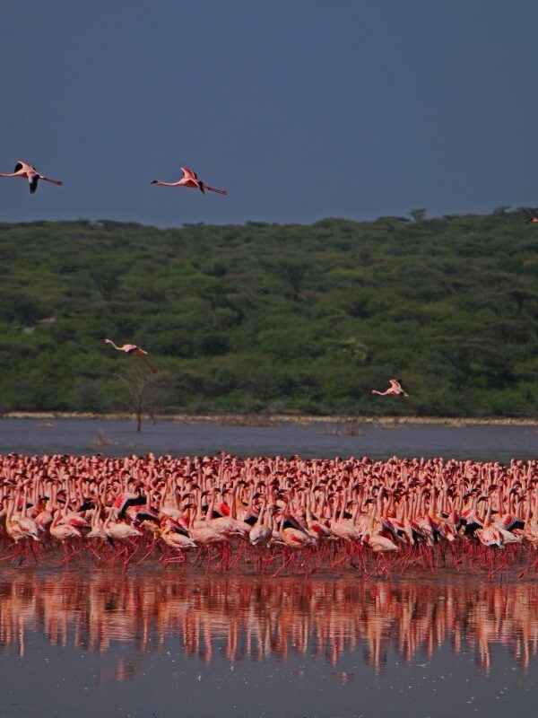 lake barigo1