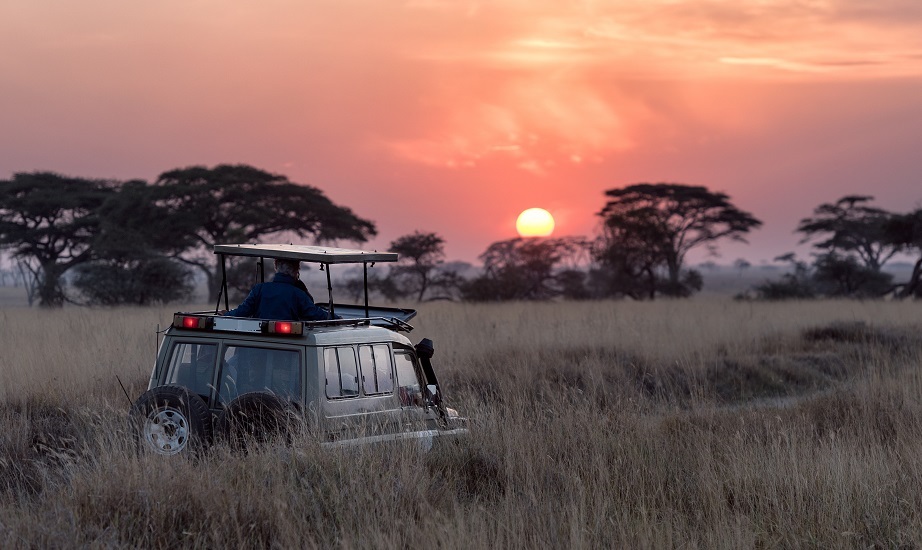 masai mara tour