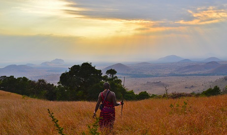 nature walk masaimara